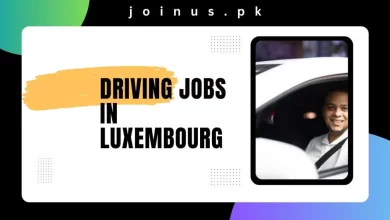 Photo of Driving Jobs in Luxembourg 2024 – Visa Sponsorship