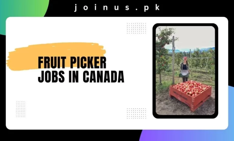 Fruit Picker Jobs In Canada 2024 Visa Sponsorship   Fruit Picker Jobs In Canada 780x470.webp