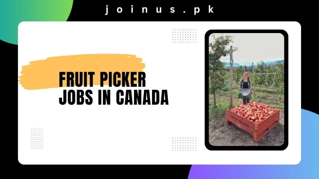 Fruit Picker Jobs in Canada 2024 Visa Sponsorship