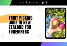 Photo of Fruit Picking Jobs in New Zealand For Foreigners 2024