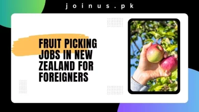 Photo of Fruit Picking Jobs in New Zealand For Foreigners 2024