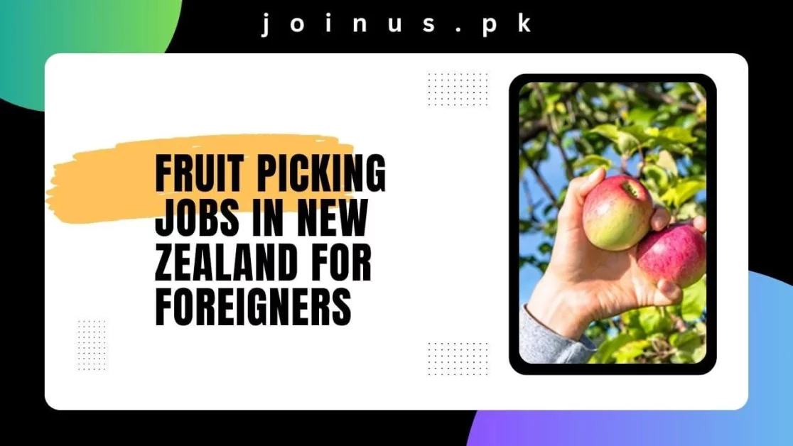 new zealand fruit picking jobs for foreigners