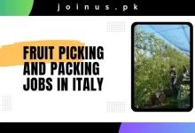 Photo of Fruit Picking and Packing Jobs in Italy 2024 – Visa Sponsorship