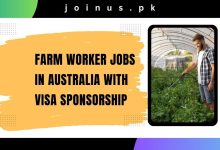 Photo of Farm Worker Jobs in Australia With Visa Sponsorship 2024