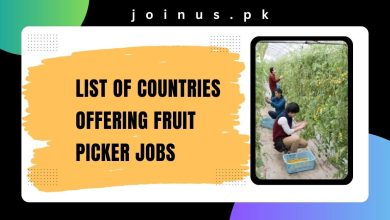 Photo of List of Countries Offering Fruit Picker Jobs 2024 – Work VISA