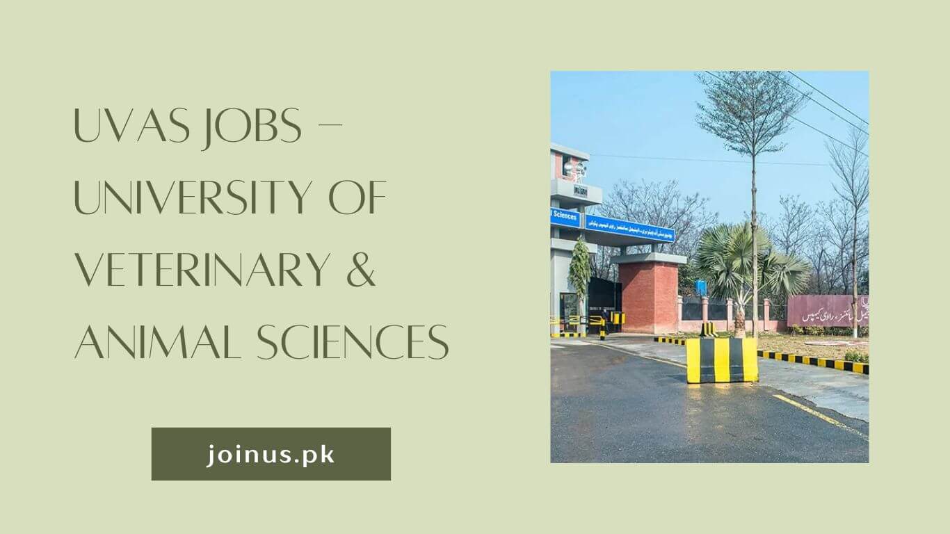 Photo of UVAS Jobs – University of Veterinary & Animal Sciences