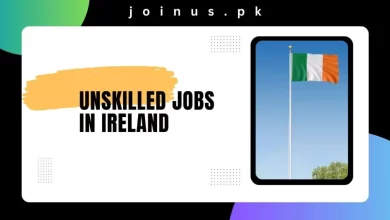 Photo of Unskilled Jobs in Ireland 2024 – Visa Sponsorship