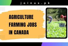 Photo of Agriculture Farming Jobs in Canada 2024 – Visa Sponsorship