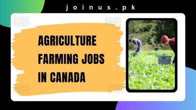 Photo of Agriculture Farming Jobs in Canada 2024 – Visa Sponsorship