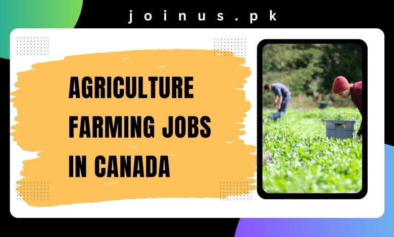 Photo of Agriculture Farming Jobs in Canada 2024 – Visa Sponsorship