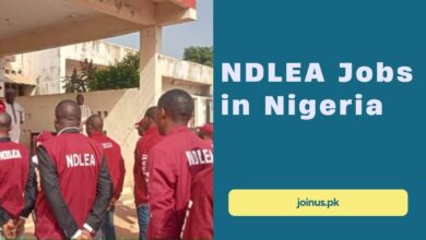 Photo of NDLEA Jobs in Nigeria – Apply Now