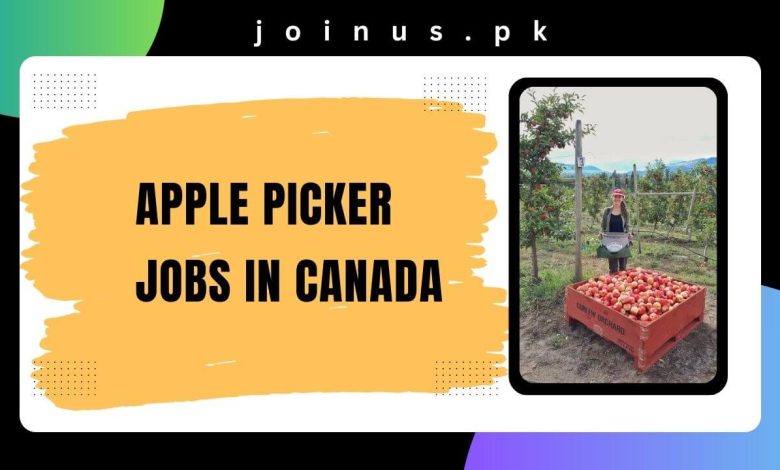 Photo of Apple Picker Jobs in Canada 2024 – Visa Sponsorship