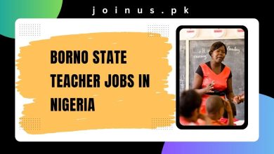 Photo of Borno State Teacher Jobs in Nigeria 2024-25 – Apply Now