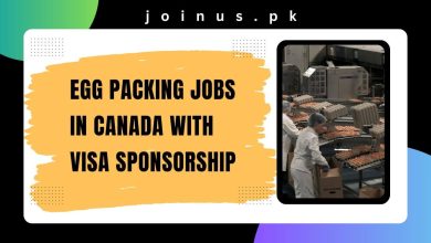 Photo of Egg Packing Jobs in Canada with Visa Sponsorship 2025