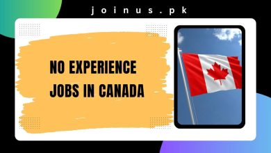 Photo of No Experience Jobs in Canada 2024 – Apply Now