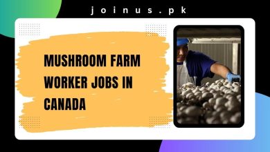 Photo of Mushroom Farm Worker Jobs in Canada 2024 – Visa Sponsorship