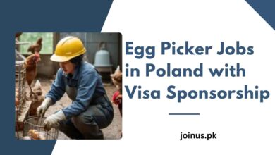 Photo of Egg Picker Jobs in Poland with Visa Sponsorship