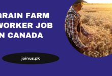 Photo of Grain Farm Worker Job in Canada – Apply Now