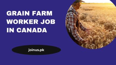 Photo of Grain Farm Worker Job in Canada – Apply Now