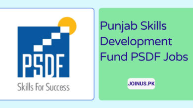 Photo of Punjab Skills Development Fund PSDF Jobs – Apply Now