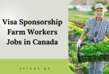 Photo of Visa Sponsorship Farm Workers Jobs in Canada 2025