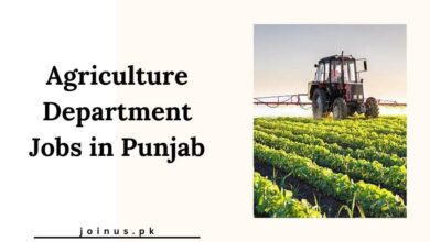 Photo of Agriculture Department Jobs in Punjab 2025 – Apply Now