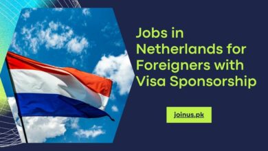 Photo of Jobs in Netherlands for Foreigners with Visa Sponsorship