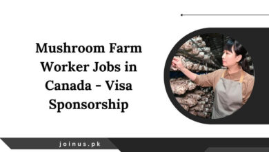 Photo of Mushroom Farm Worker Jobs in Canada 2025 – Visa Sponsorship