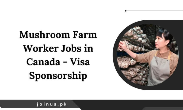 Photo of Mushroom Farm Worker Jobs in Canada 2025 – Visa Sponsorship