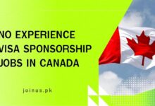 Photo of No Experience Visa Sponsorship Jobs in Canada – Apply Now