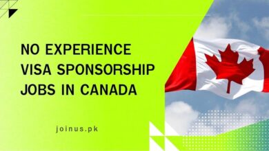 Photo of No Experience Visa Sponsorship Jobs in Canada – Apply Now