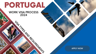 Photo of Portugal Work Visa Process 2025 : Visa Types and Requirements