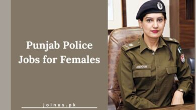 Photo of Punjab Police Jobs for Females 2025 – Apply Online