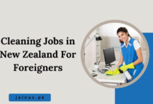 Photo of Cleaning Jobs in New Zealand For Foreigners 2025